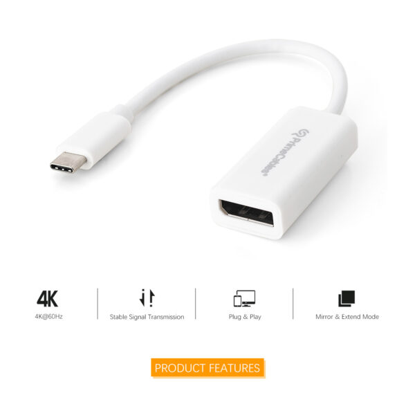 PRIMECABLES - Adaptateur USB-C vers Display Port 4K (Type C mâle vers DP femelle)